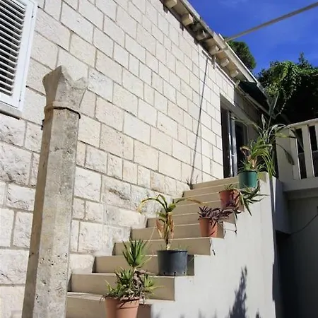 Lejlighed Frenchie *